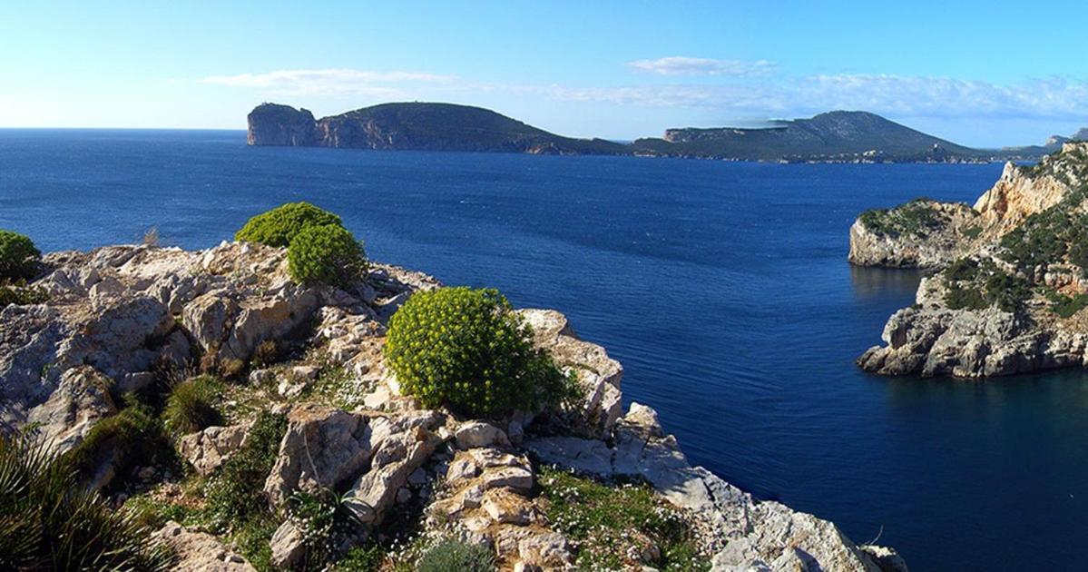 A Casa Di Mamma Apartment Alghero Bagian luar foto